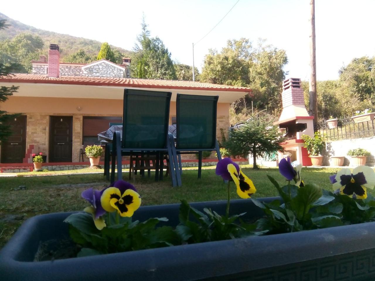 Guesthouse Mythos Órma Екстериор снимка